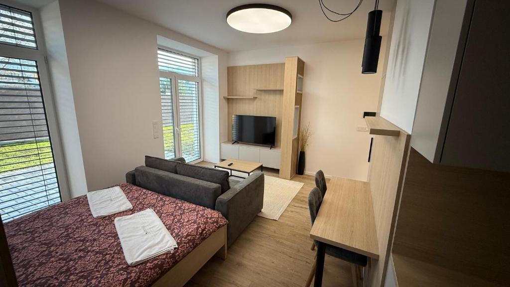 Μια τηλεόραση ή/και κέντρο ψυχαγωγίας στο 1 room apartment with garden, Nálepková