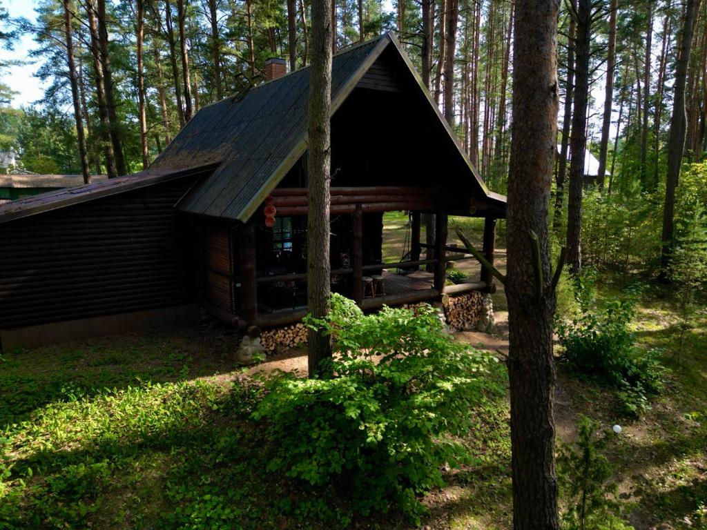 Zahrada ubytování Vila Zara