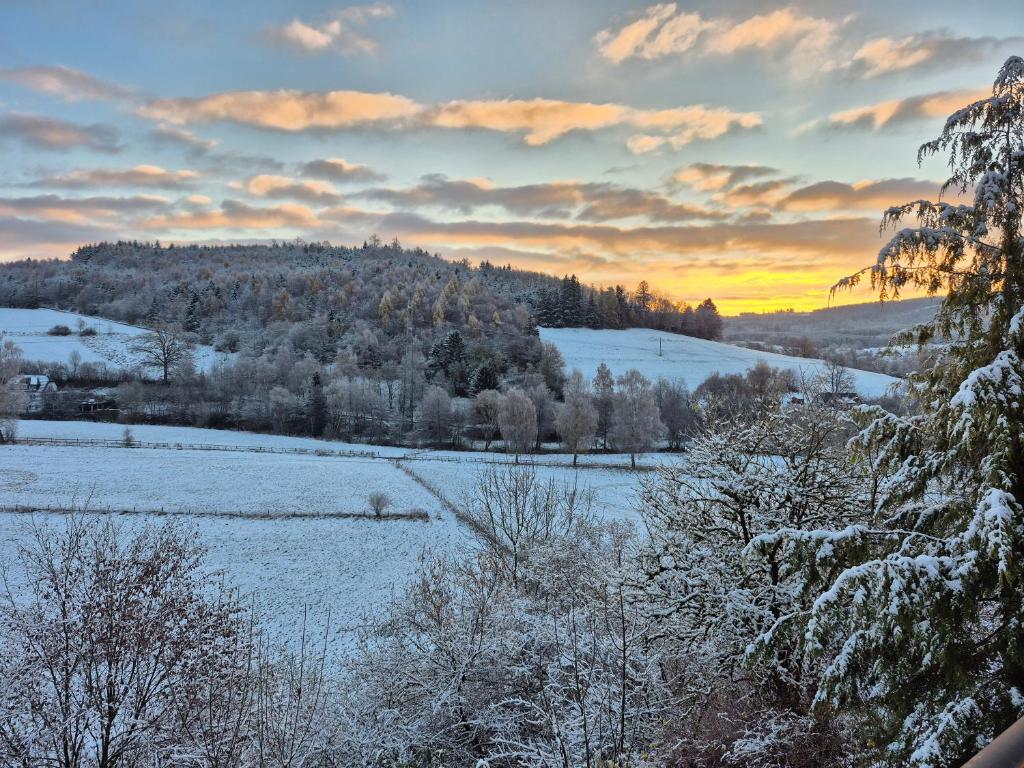 Fewo Schmallenberger Mauerblümchen في شمالنبرغ: حقل ثلجي مغطى بالشجر وغروب الشمس