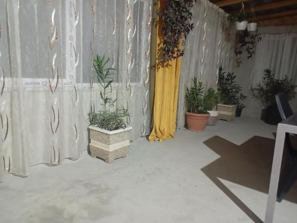 Imagine din galeria proprietății Casa Camelia în Craiova