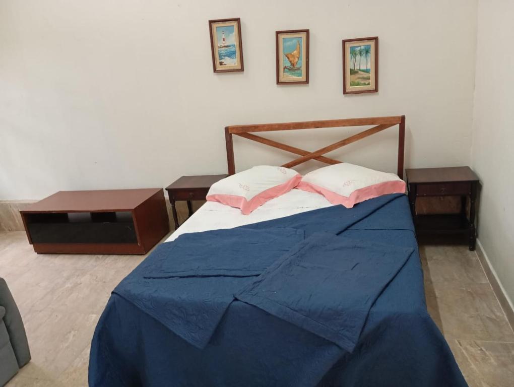 een slaapkamer met een blauw bed met 2 roze kussens bij Pousada Encanto dos Olhos in Alexânia