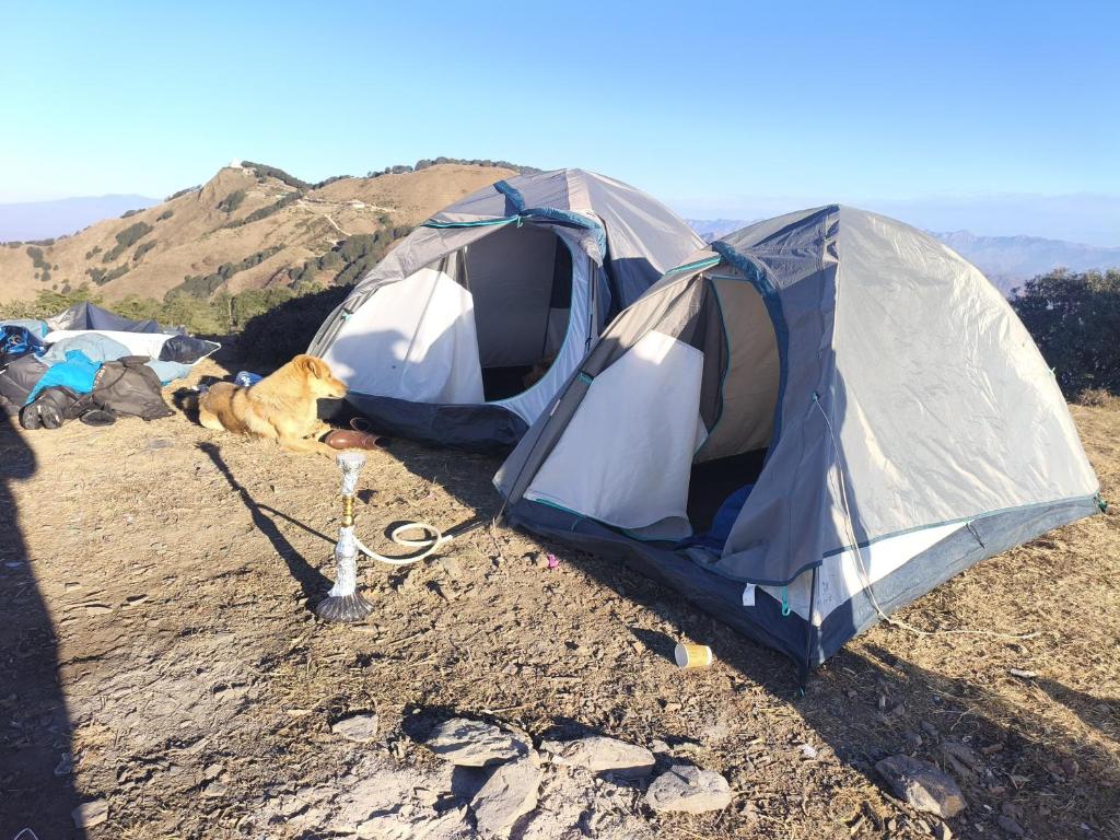 Φωτογραφία από το άλμπουμ του Himalayan Cloud Door Camps σε Ντεχράντουν