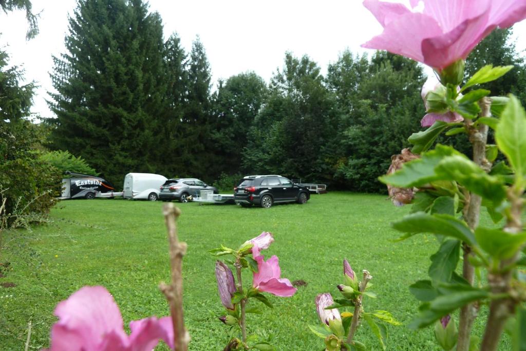Vonkajšia záhrada v ubytovaní Pension Pfefferdohle