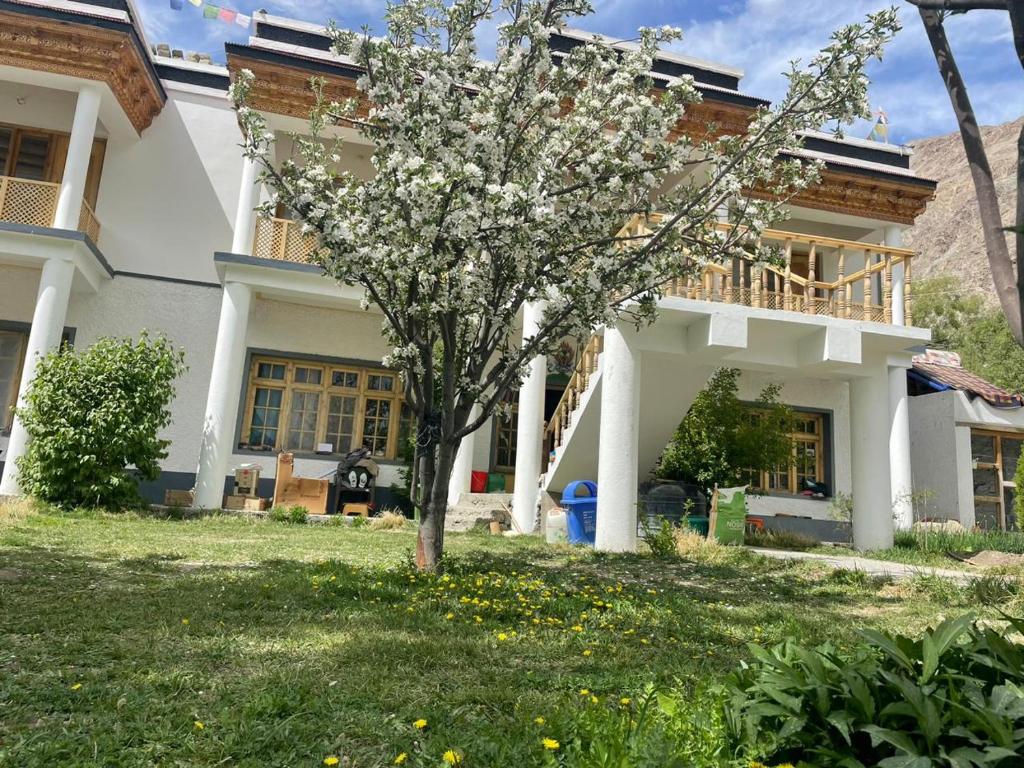 a white house with a tree in the yard at Baltipa Homestay in Pānāmik