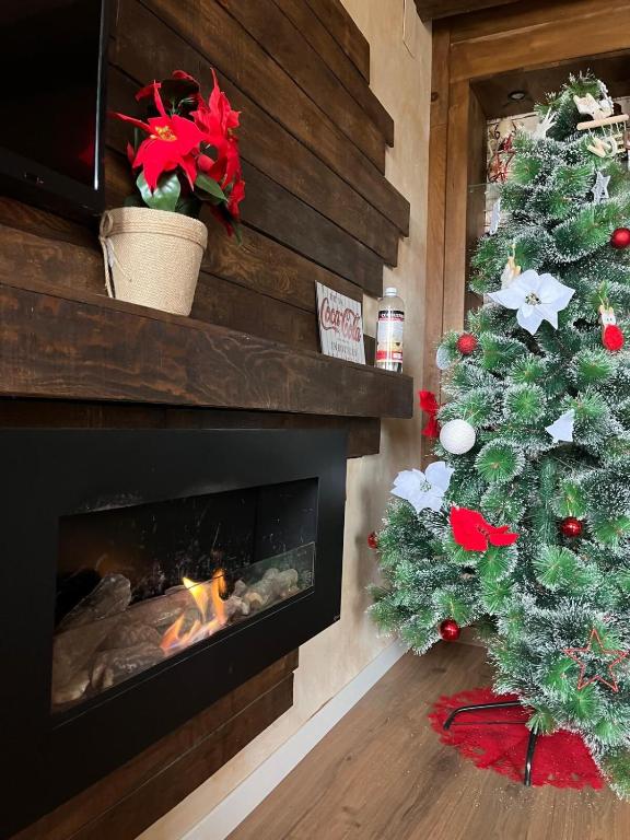 Luxury Danna Plaza Mayor - 1