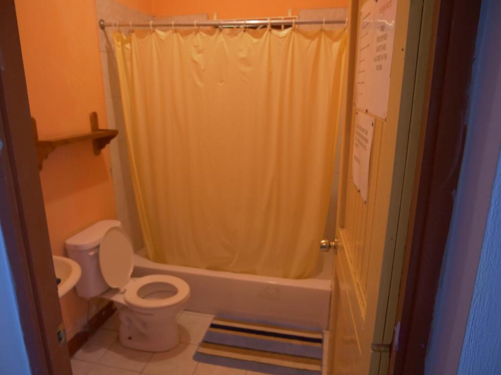 Ansells Thatch Walk Cottages في نيغريل: حمام مع ستارة دش ومرحاض