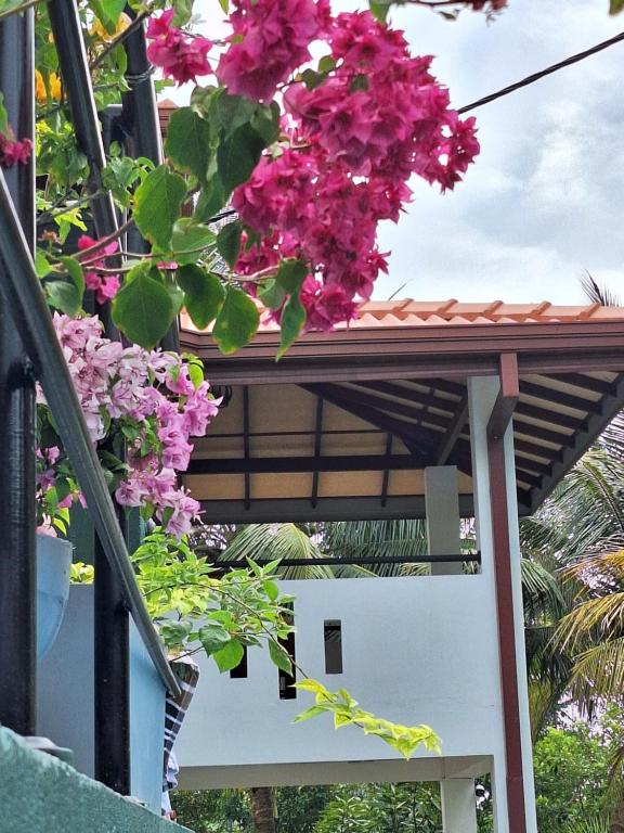 Villa Lanka Rose في Maggona West: حفنة من الزهور معلقة من pergola