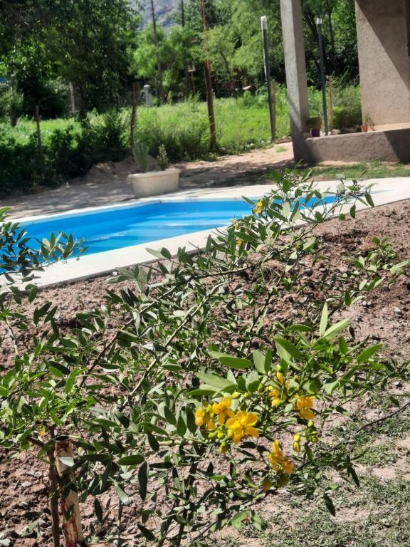 Πισίνα στο ή κοντά στο Cabaña La Kalma