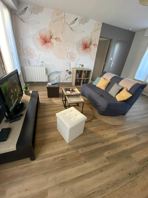 Μια τηλεόραση ή/και κέντρο ψυχαγωγίας στο Appartement lumineux centre-ville