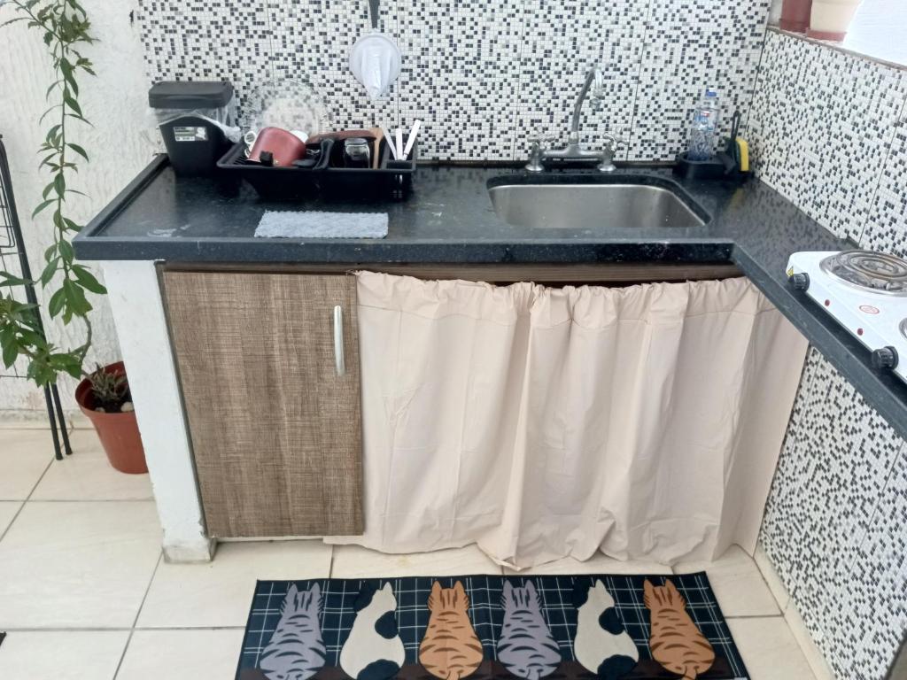 Kuchyň nebo kuchyňský kout v ubytování Aconxeguinho