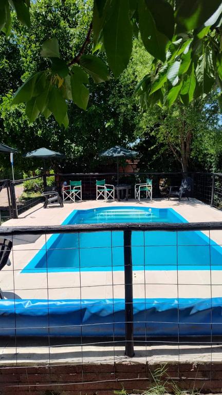 圣拉斐尔Complejo Los Ciruelos的一个蓝白相间的游泳池，配有躺椅和遮阳伞。