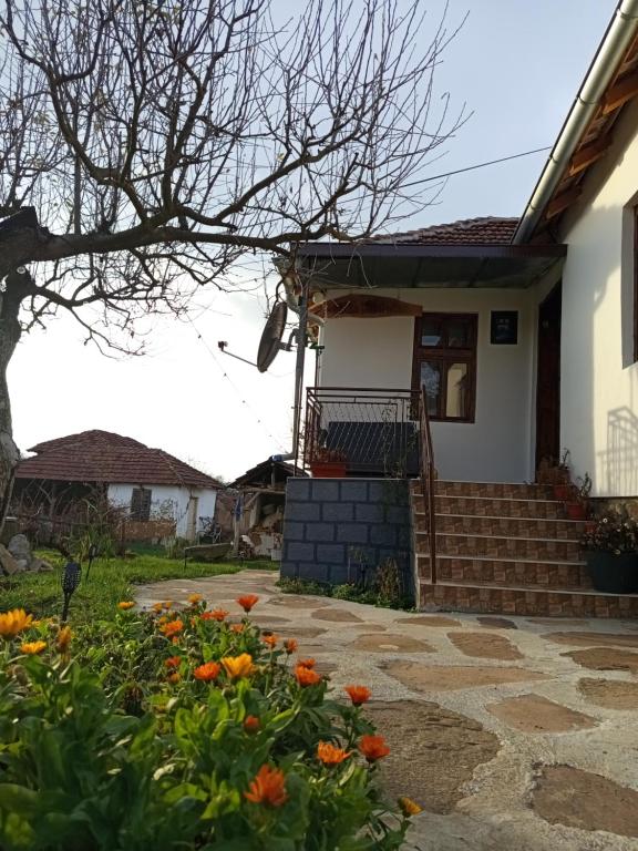 Tòa nhà nơi the country house tọa lạc