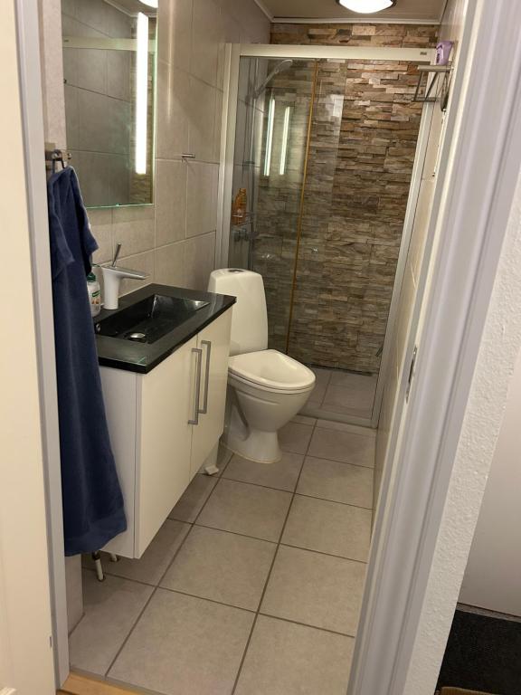 a bathroom with a toilet and a sink and a shower at Kiko in Horsens