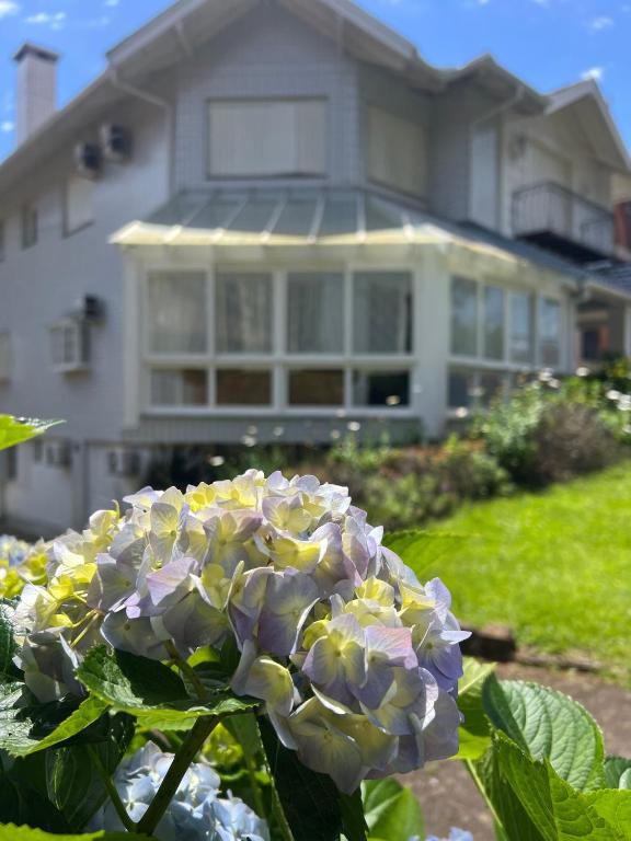 Κήπος έξω από το Hospedagem Solari di Gramado