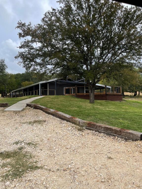 un edificio con un albero di fronte di Spotted fawn ranch a Gatesville