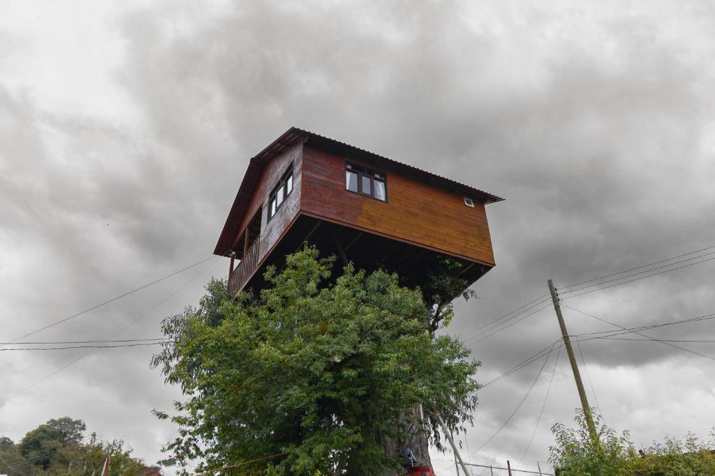 a tree house sitting on top of a tree at Casita del Arbol Trini By GEstores in Huasca de Ocampo