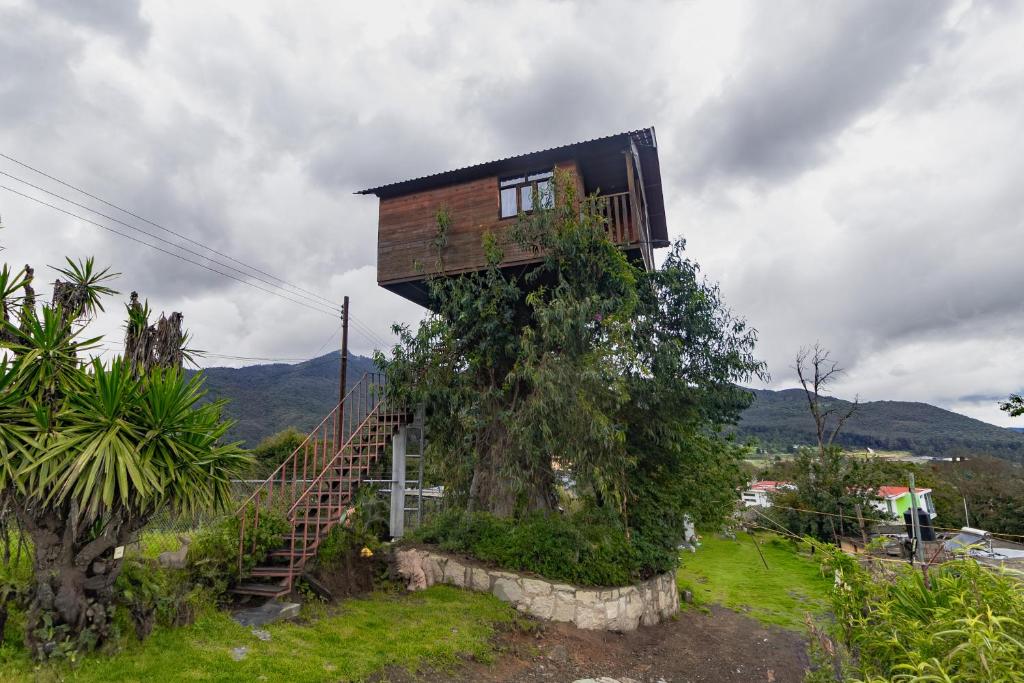 een klein huisje bovenop een boom bij Trini Treehouse By GEstores in Huasca de Ocampo