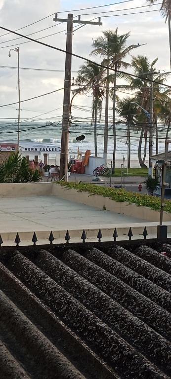 enseada hostel في غوارويا: مجموعة من السلالم بجوار شاطئ به أشجار نخيل