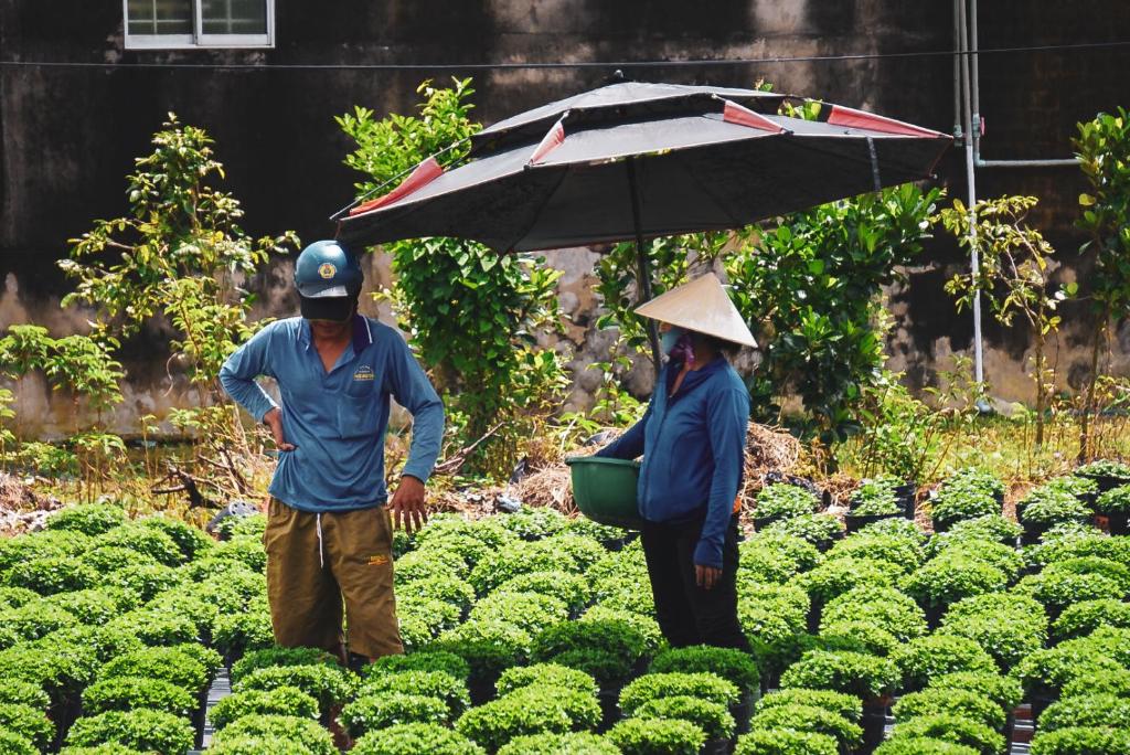 Homestay Bentre Coco Lodge - 15