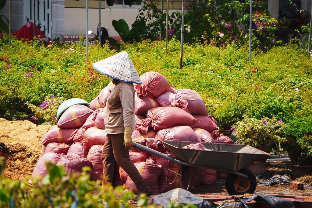 Homestay Bentre Coco Lodge - 14