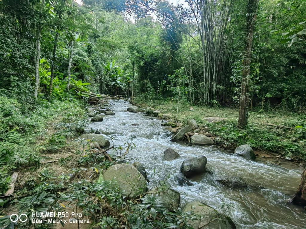 Φωτογραφία από το άλμπουμ του ติดธารโฮมสเตย์ - Cabin by The stream σε Ban Nong Chaeng