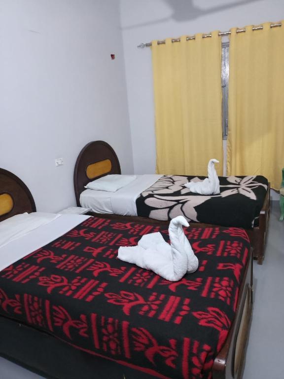 Bob Marley Peace hotel luxor - 15