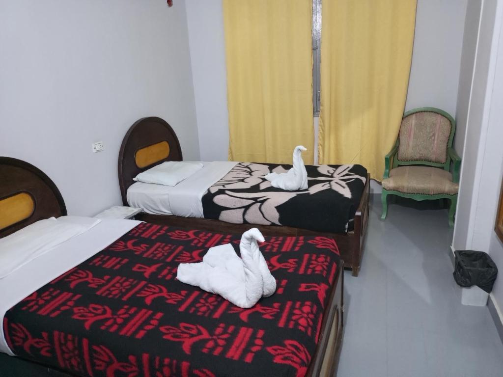 Bob Marley Peace hotel luxor - 16