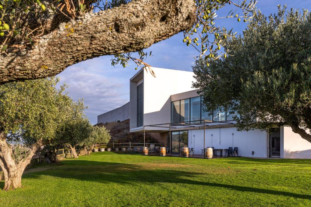 Zahrada ubytování Hotel-Bodega Finca de Los Arandinos
