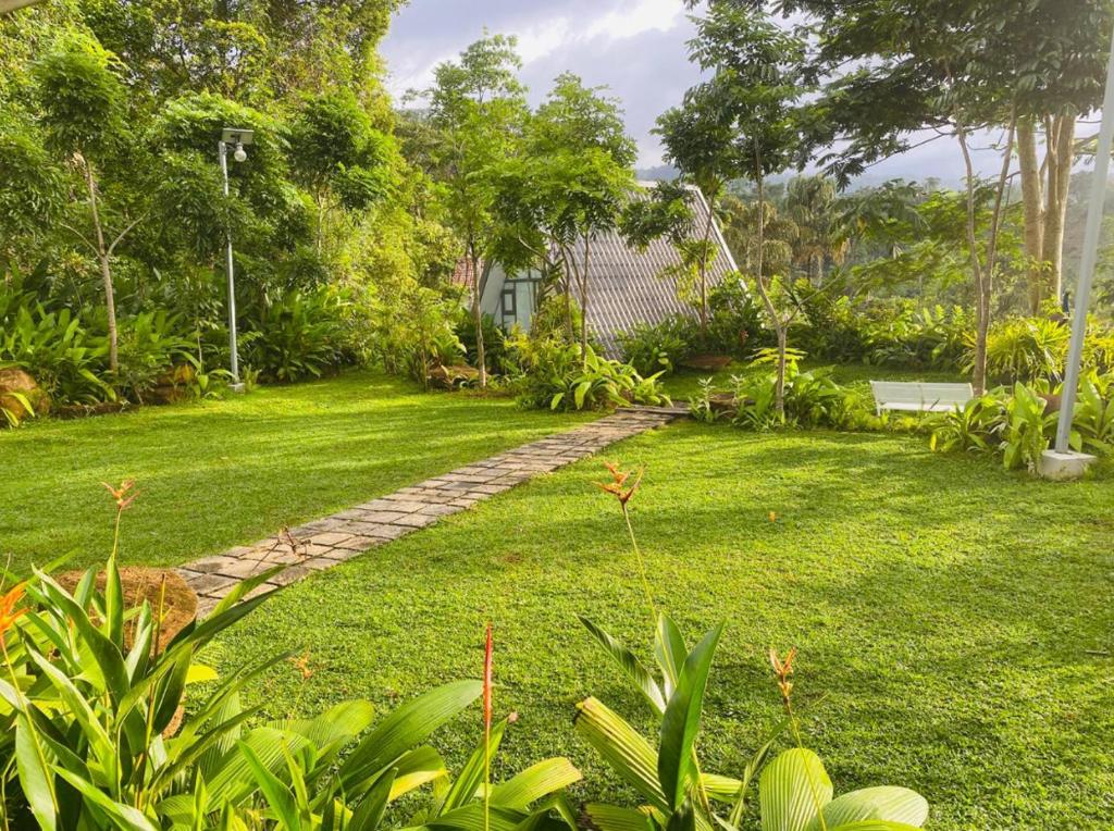 Κήπος έξω από το Rain Drops Wellness Villa
