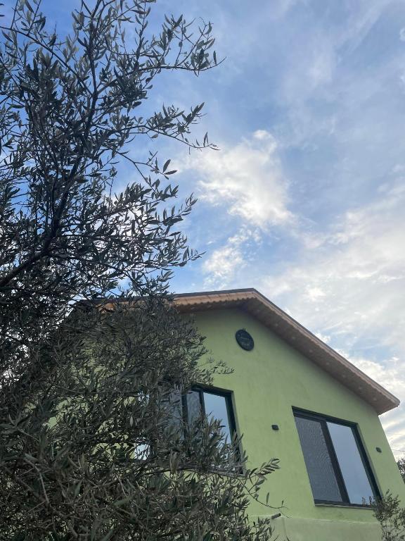 una casa verde con un árbol delante en Cherry farm, en Ajloun