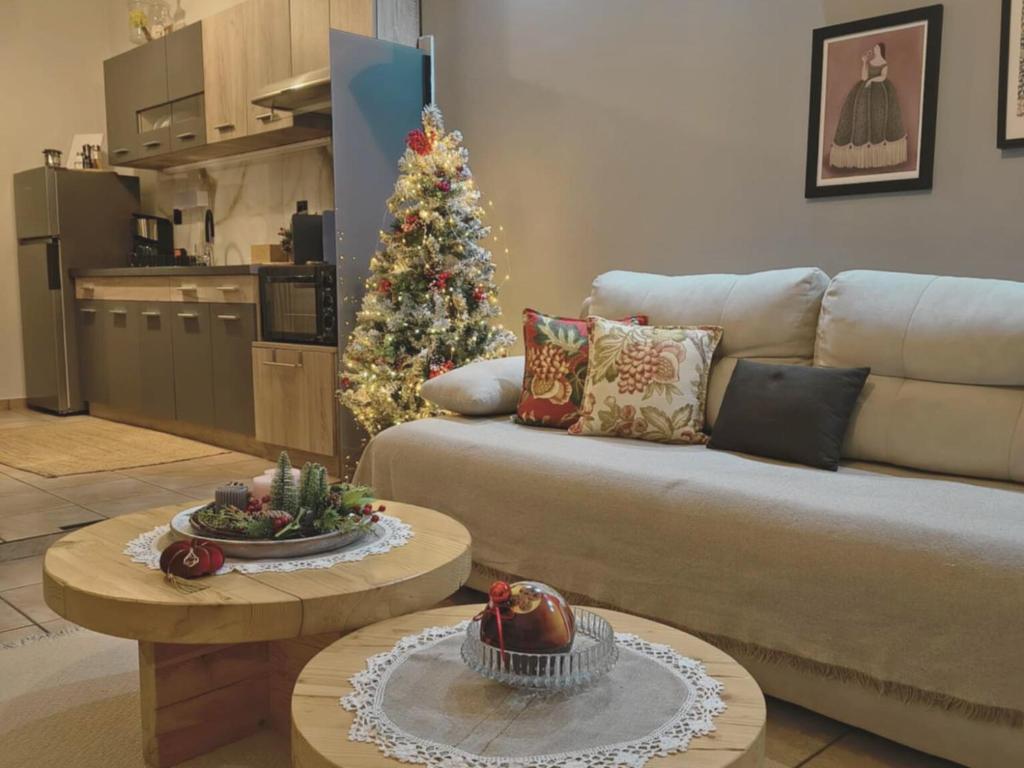 Η κουζίνα ή μικρή κουζίνα στο Elichrysos GuestHouse Konitsa