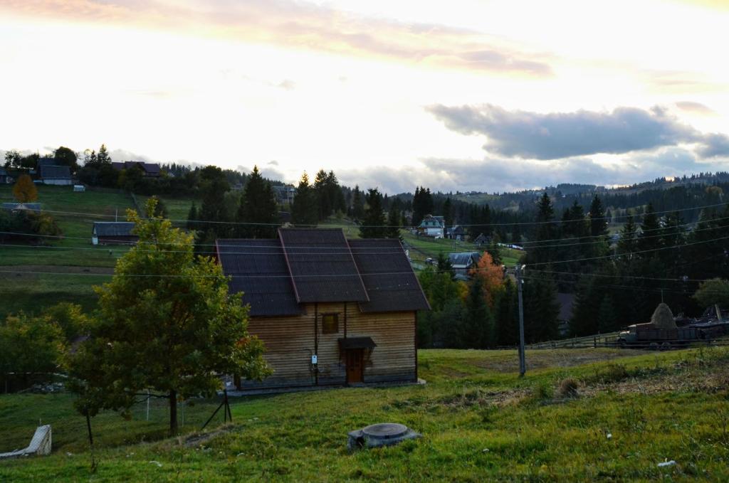 ヤブルニツァにあるСадиба "Альпійській дворик"の草原の小木造家屋
