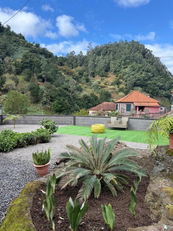 Zahrada ubytování Roots Guesthouse - A