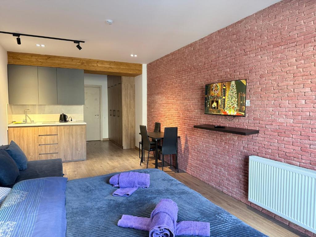 TV/trung tâm giải trí tại Gudauri Mountain View Studio