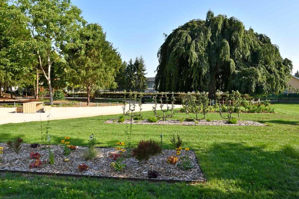 Apartment - Colmar Center - La Roseraie – photo 24