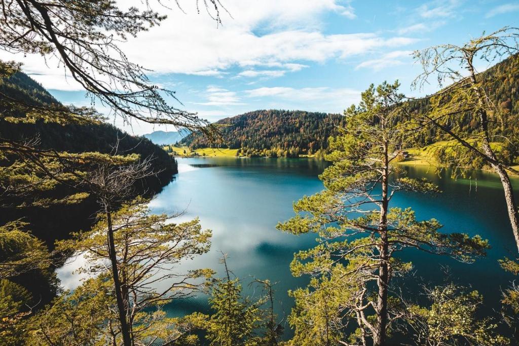 Природа в окрестностях апартаментов/квартиры