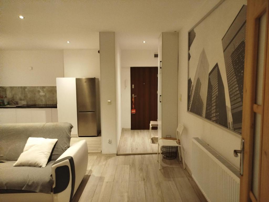 City Center Apartment 45m, 100m from RYNEK and Wisła River 1 Bedroom and 1 Living Room with Kitchen plus Bathroom, a perfect Family Friendly Place or for Home Office and a longer Stay, a proper office desk with business chair provided, في غروجونتس: غرفة معيشة مع أريكة ومطبخ