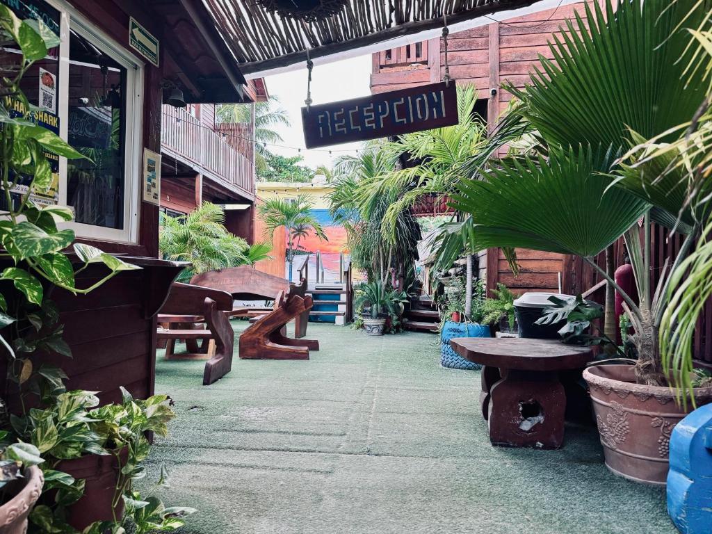 Zahrada ubytování Hotelito Villas Holbox