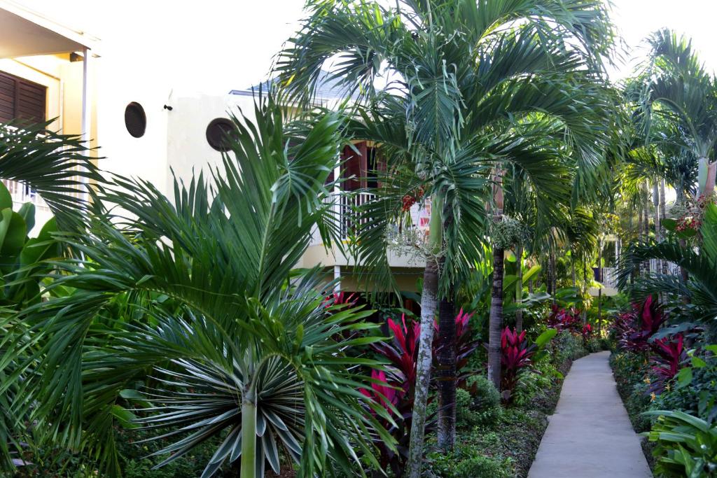 Zahrada ubytování Negril Palms