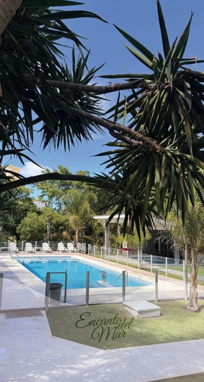 a swimming pool with a palm tree in the foreground at Encanto Del Mar in Ostende