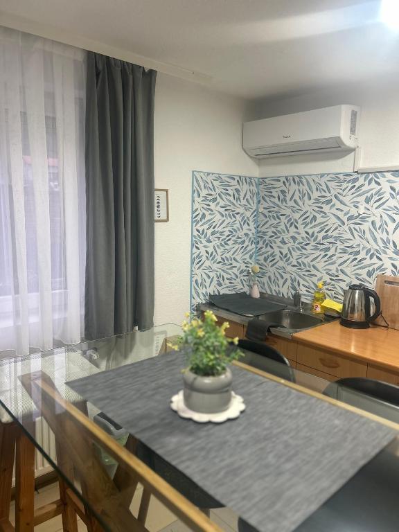 a kitchen with a glass table with a plant on it at Apartmani Star in Tuzla