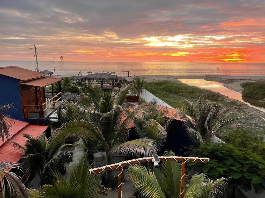 Un Dia Boutique Resort في بلاياس: اطلالة على شاطئ به نخل والمحيط