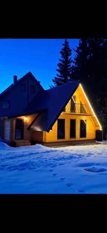 a house with a dark roof in the snow at Evergreen cabins Golija in Golija
