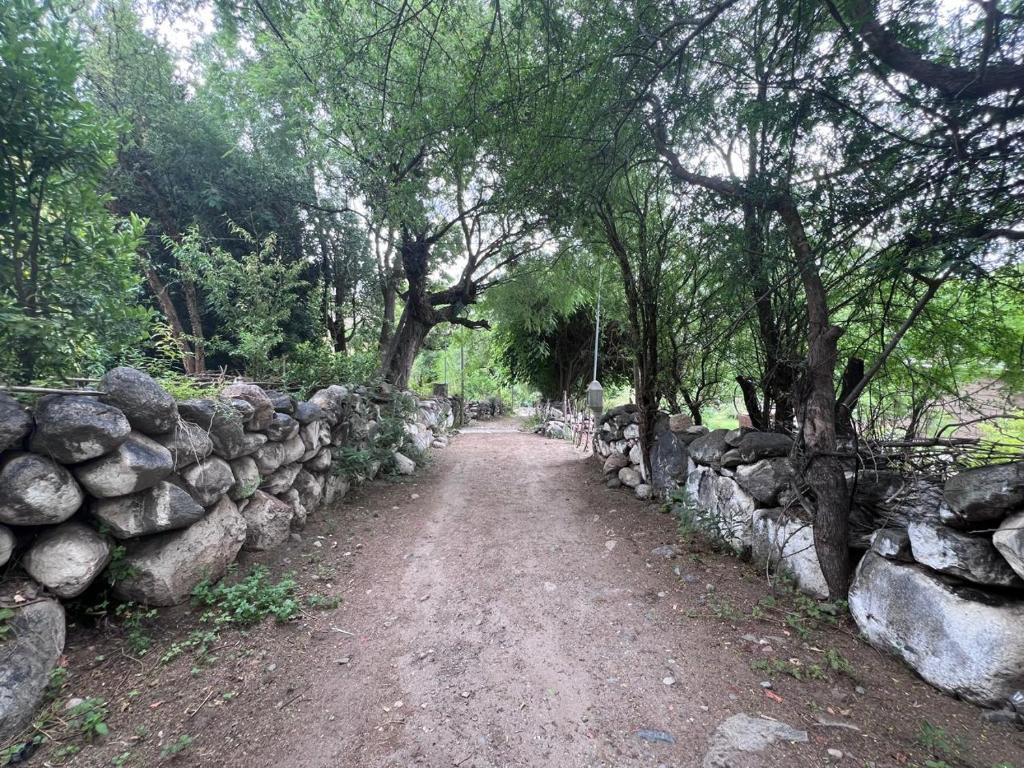 FINCA LA CARLA Posada de Altura