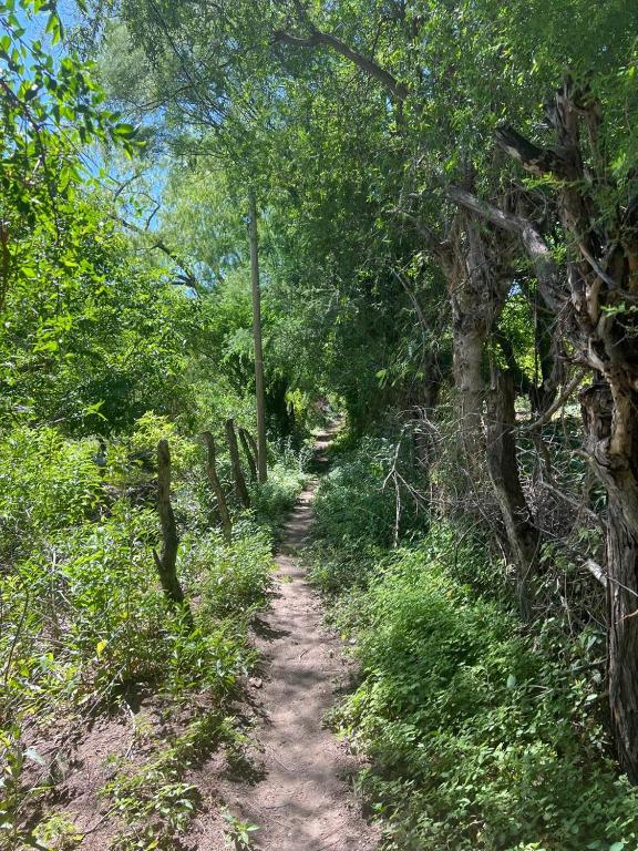 FINCA LA CARLA Posada de Altura