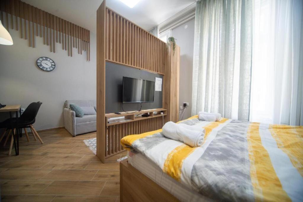 a bedroom with a large bed and a television at Ivi Central Apartments in Novi Sad