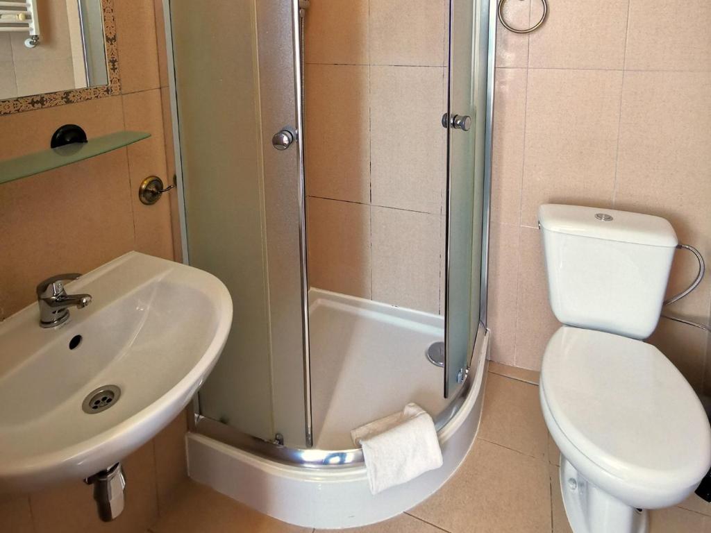 Pensjonat Jeleni Róg - Habitación Doble Con Vistas A La Montaña