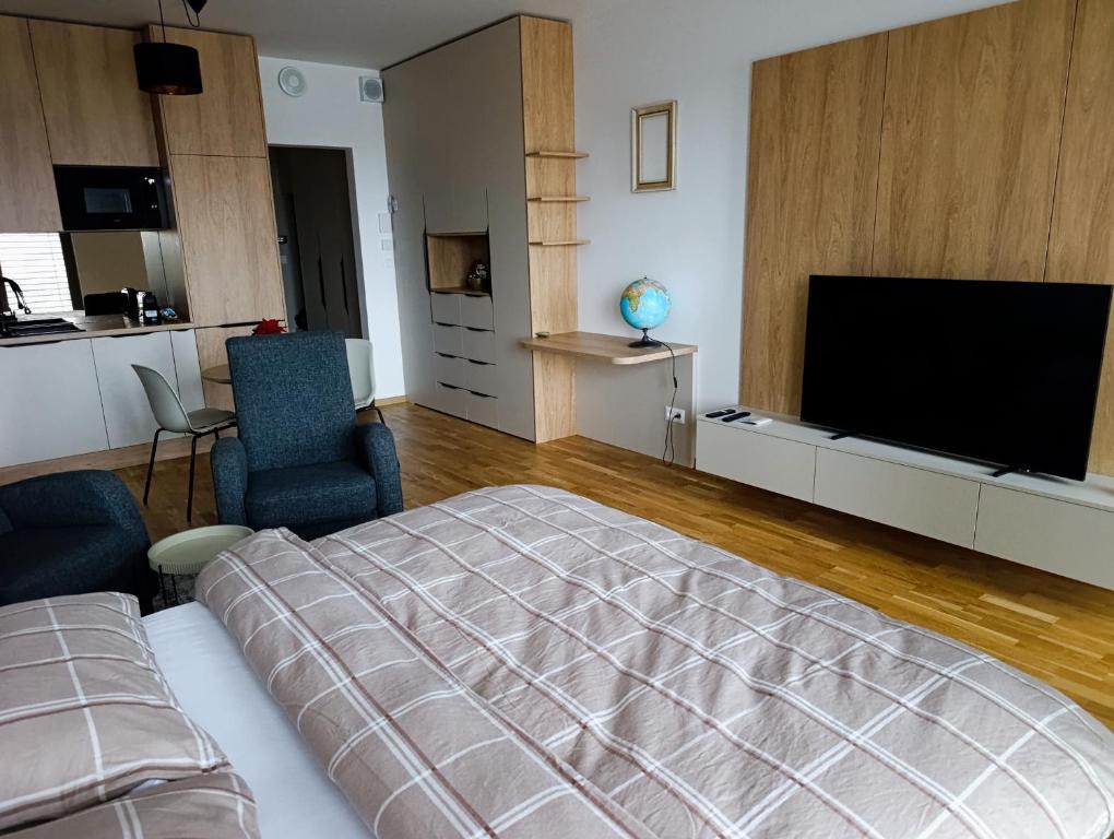 Μια τηλεόραση ή/και κέντρο ψυχαγωγίας στο Metropolis apartment, parking, city center