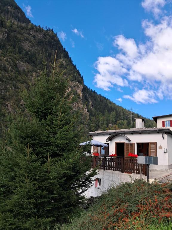 Γενική θέα στο βουνό ή θέα στο βουνό από  αυτό το διαμέρισμα