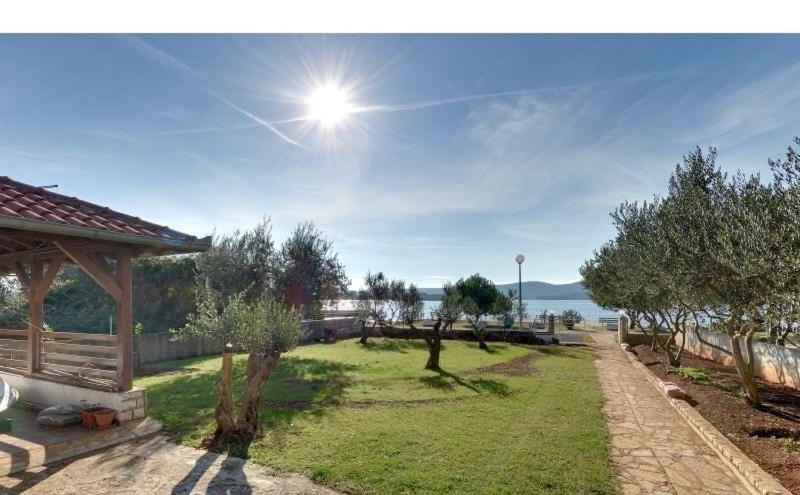 een tuin met bomen en de zon aan de hemel bij Lucia&Laura in Turanj